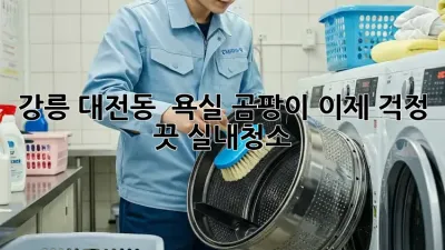 강릉 대전동 🏡 욕실 곰팡이? 이제 걱정 끗! #실내청소